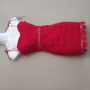 Forever 21 Red Lace Mini Dress